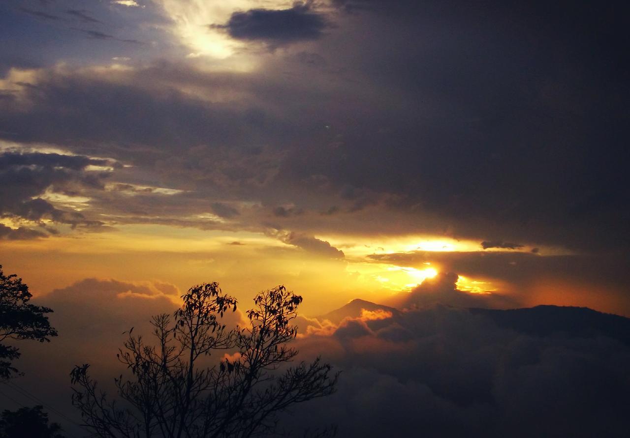 Family Homestay Kurseong Екстериор снимка